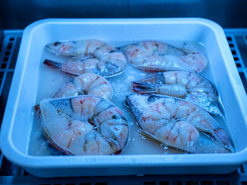 Temperature-controlled seafood logistics and cold-chain handling