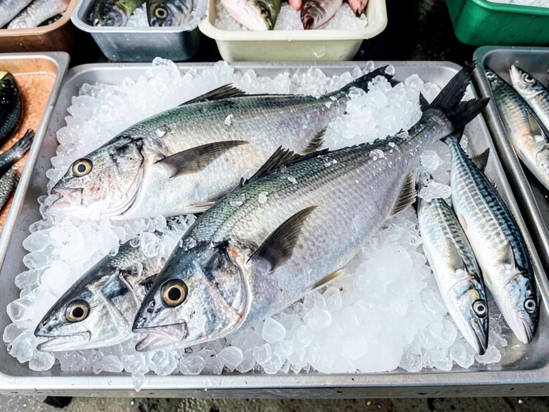 Fresh seafood prepared for professional processing and export